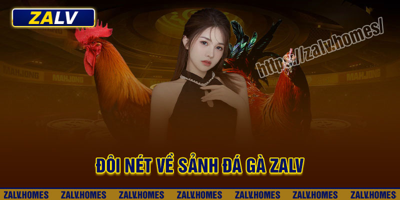 Đôi nét về sảnh Đá gà Zalv